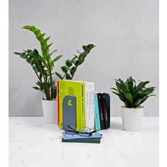 Kashida | Alef Yaa Bookend blue Grey